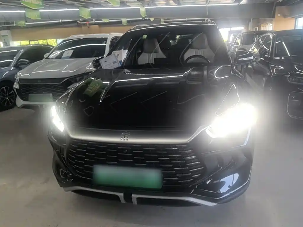 BYD Pro New Energy — фото 3