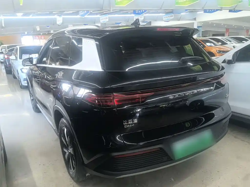 BYD Pro New Energy — фото 5