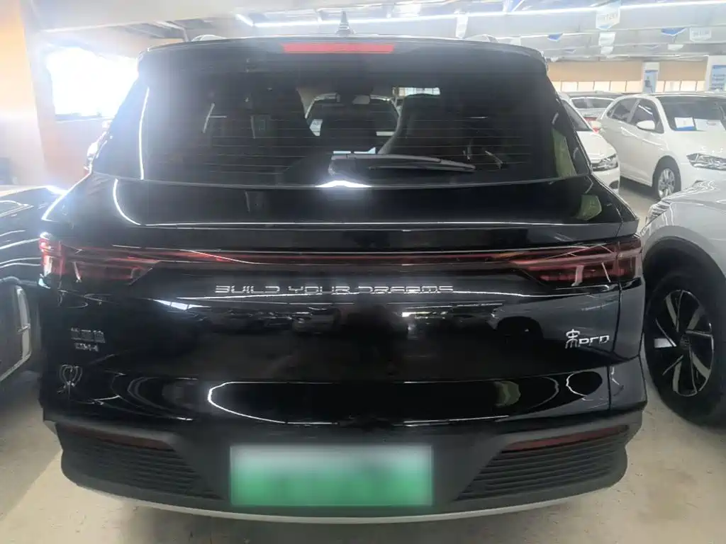 BYD Pro New Energy — фото 6