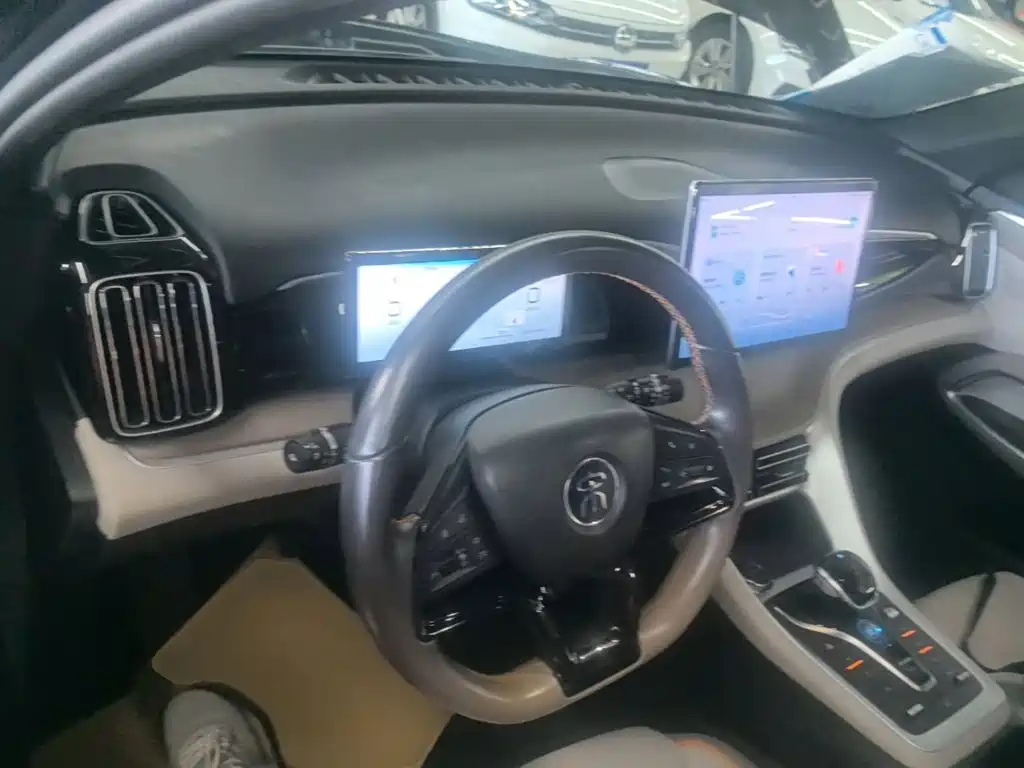 BYD Pro New Energy — фото 10