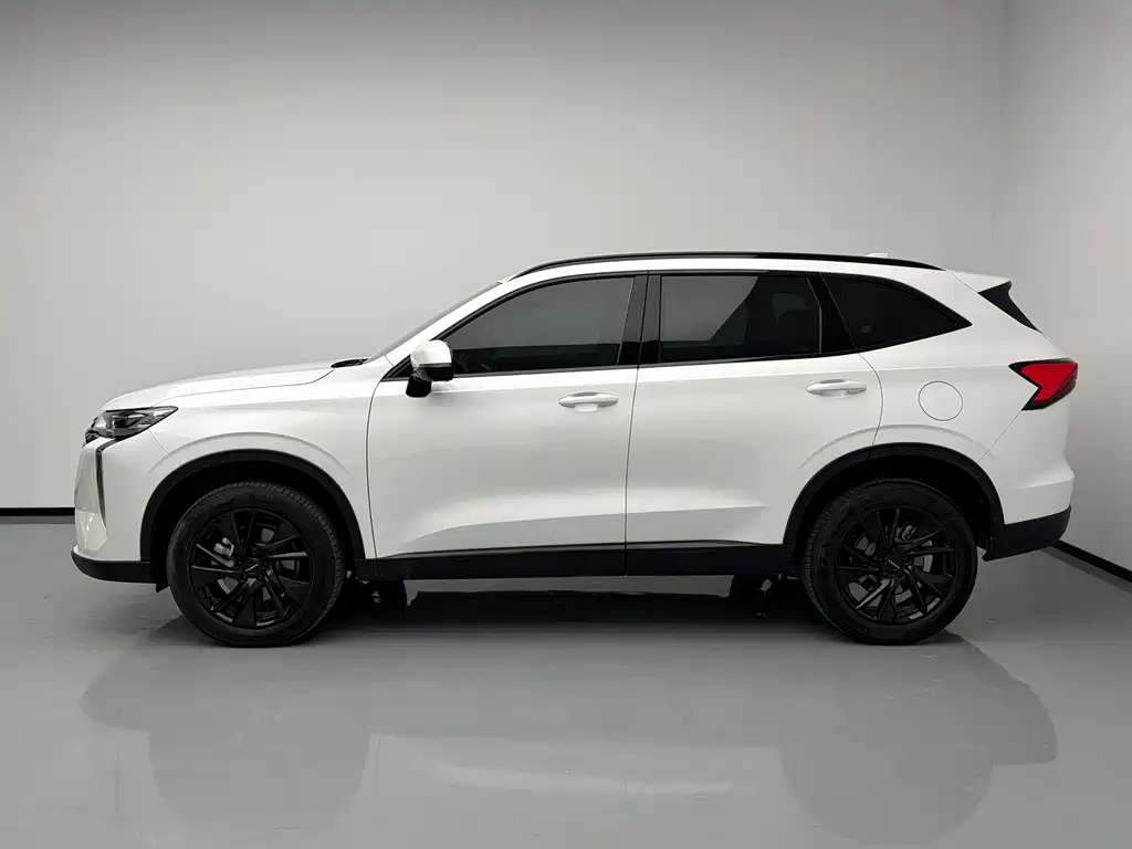 Haval H6 — фото 3