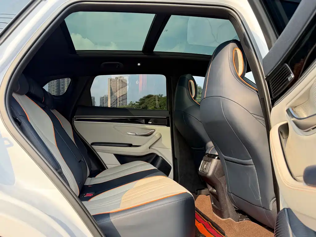 BYD PLUS New Energy — фото 17