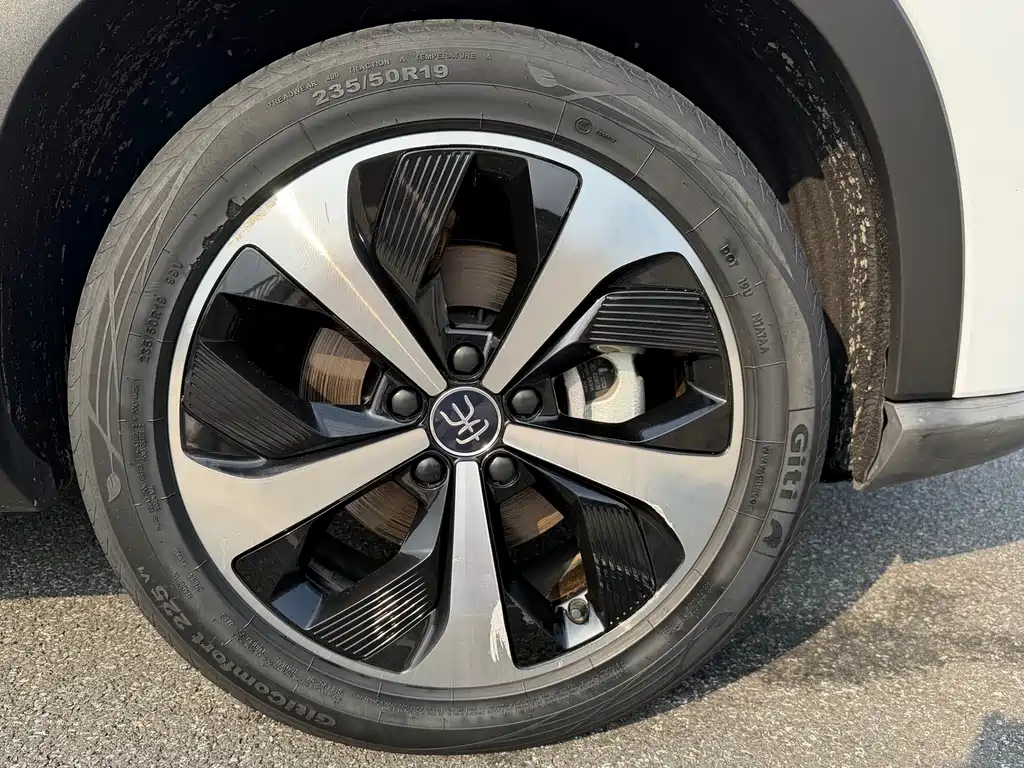 BYD PLUS New Energy — фото 20
