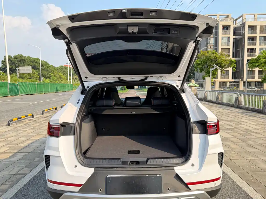 BYD PLUS New Energy — фото 21