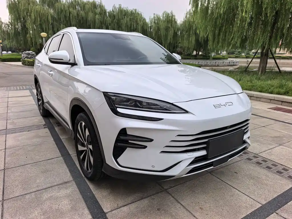 BYD PLUS New Energy — фото 2