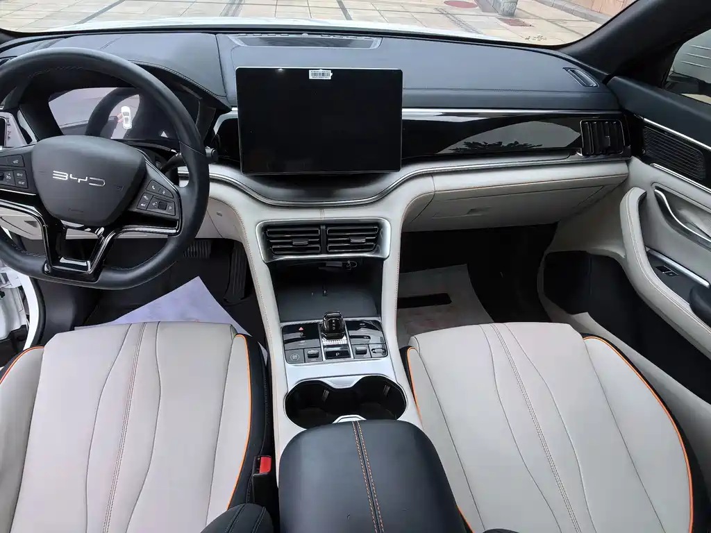 BYD PLUS New Energy — фото 11