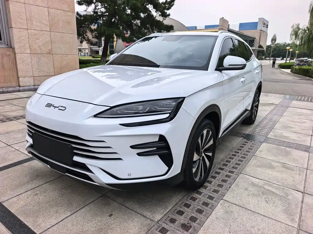 BYD PLUS New Energy — фото 3