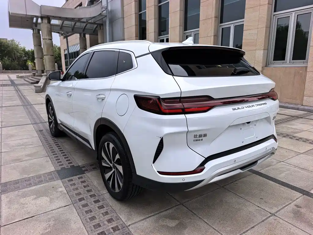 BYD PLUS New Energy — фото 4
