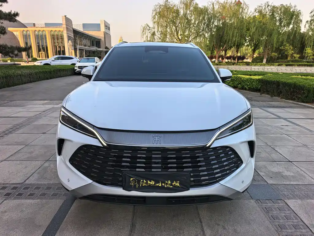 BYD L DM-i