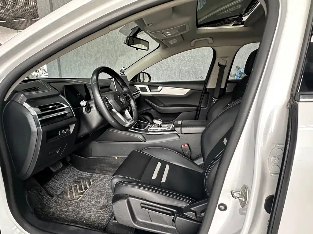 BYD Qin Pro NEV — фото 11