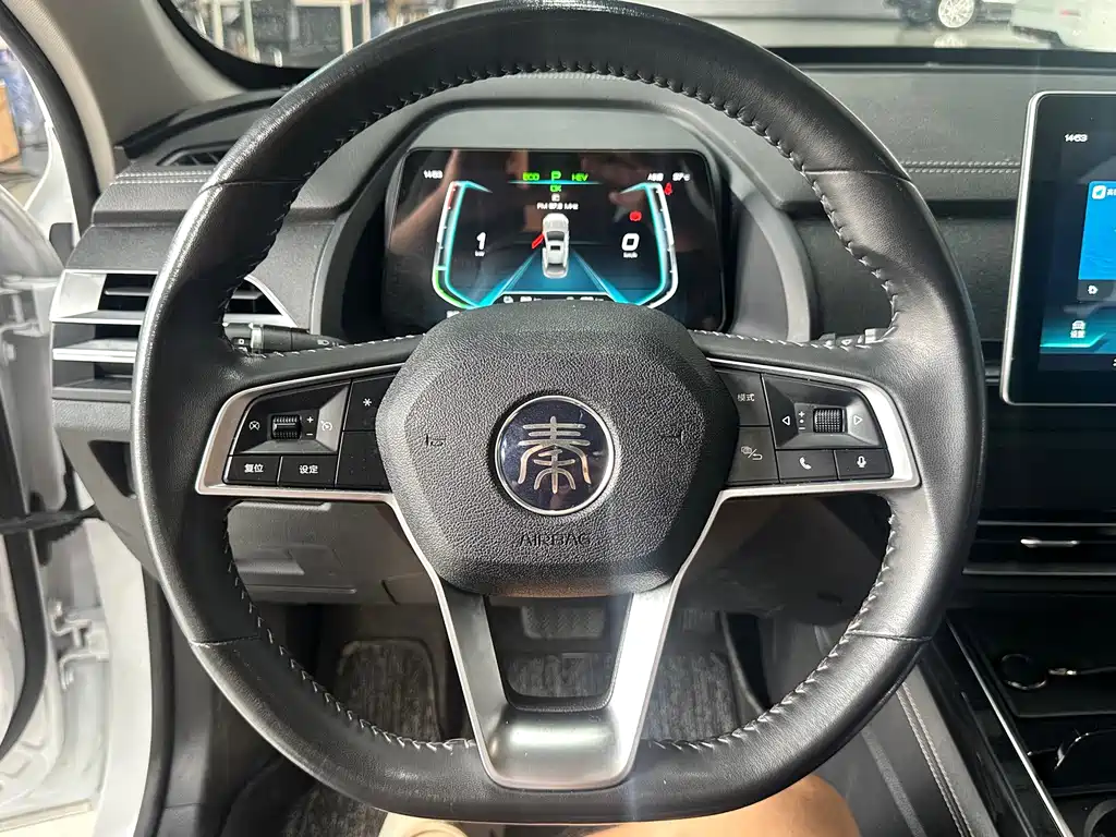 BYD Qin Pro NEV — фото 13