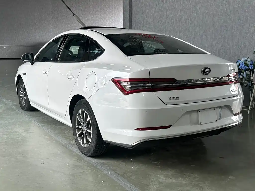 BYD Qin Pro NEV — фото 5