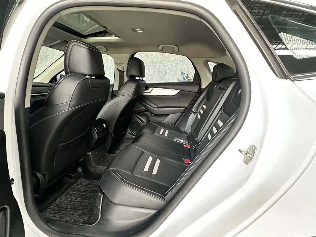 BYD Qin Pro NEV — фото 9