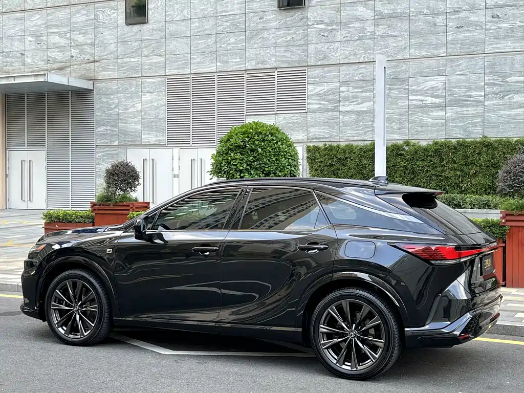 Lexus RX — фото 4