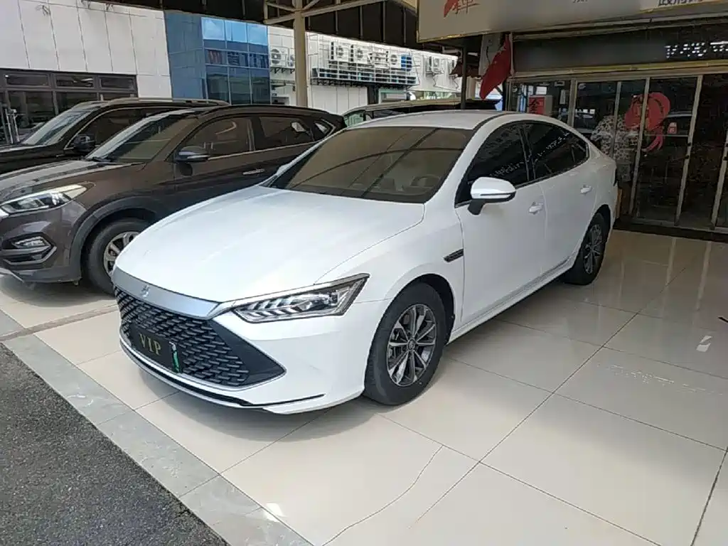 BYD Qin PLUS — фото 2