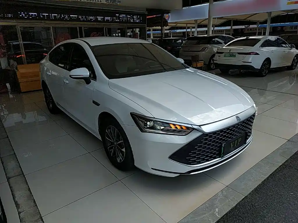 BYD Qin PLUS — фото 4