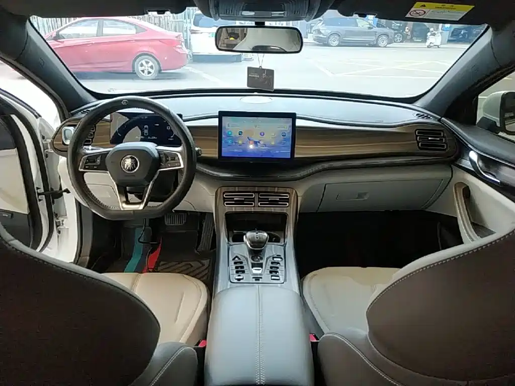 BYD Qin PLUS — фото 10