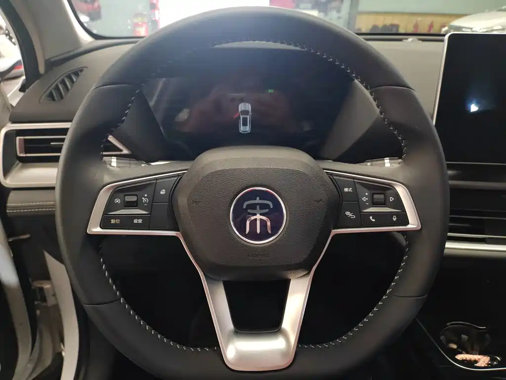 BYD Pro — фото 11