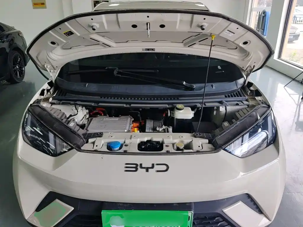 BYD Seagull — фото 20