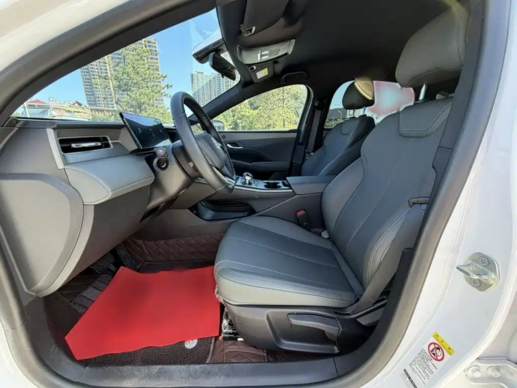 BYD Qin PLUS — фото 13