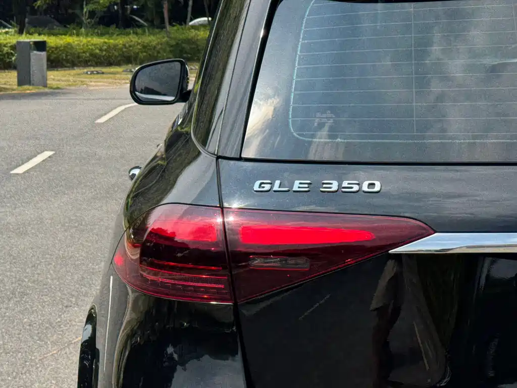 Mercedes-Benz GLE (Import) — фото 6