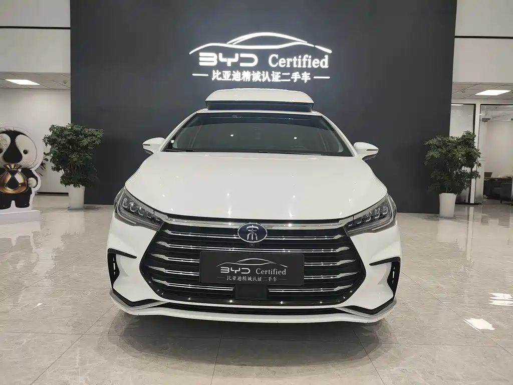 BYD MAX New Energy — фото 2