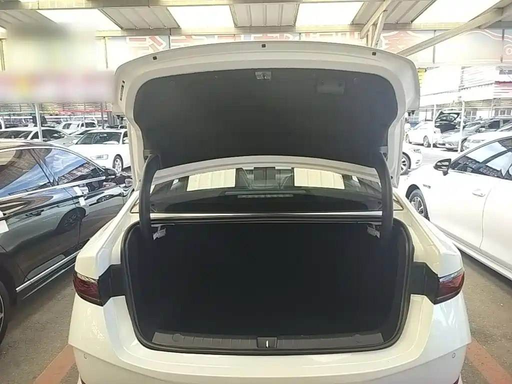 BYD Qin PLUS — фото 19