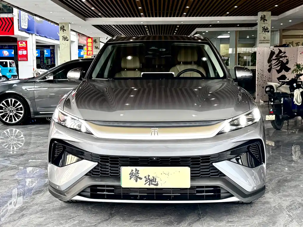 BYD Pro New Energy — фото 2