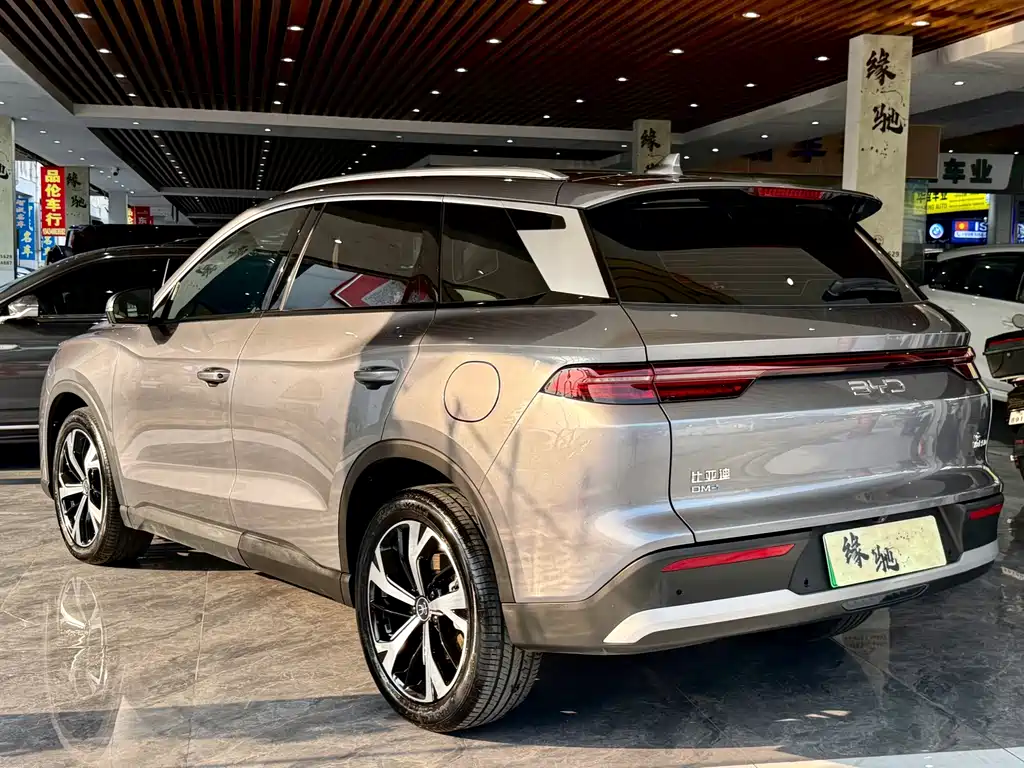 BYD Pro New Energy — фото 4