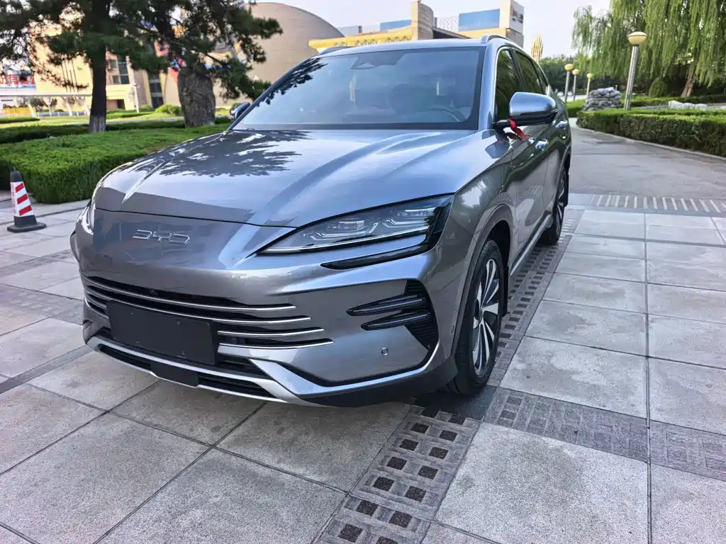 BYD PLUS New Energy — фото 2