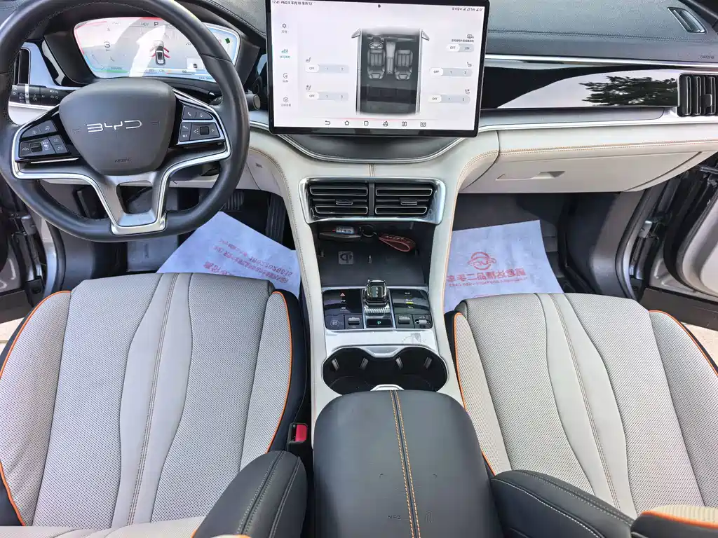 BYD PLUS New Energy — фото 15