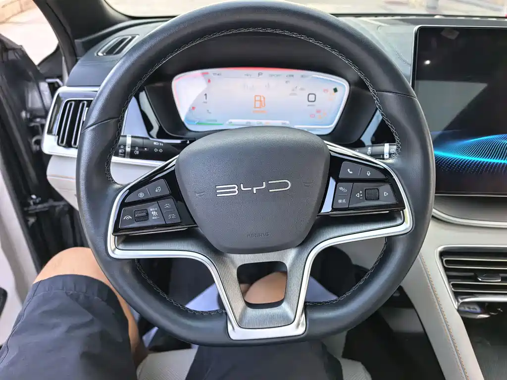 BYD PLUS New Energy — фото 10