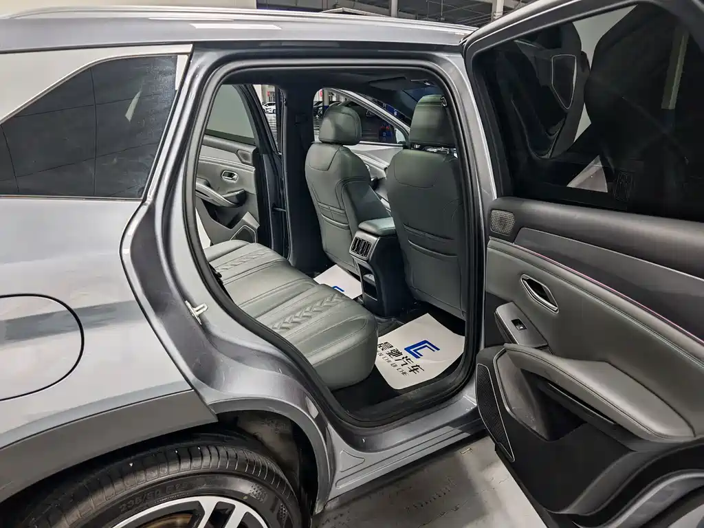 BYD L DM-i — фото 11
