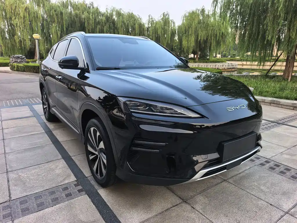 BYD PLUS New Energy — фото 2