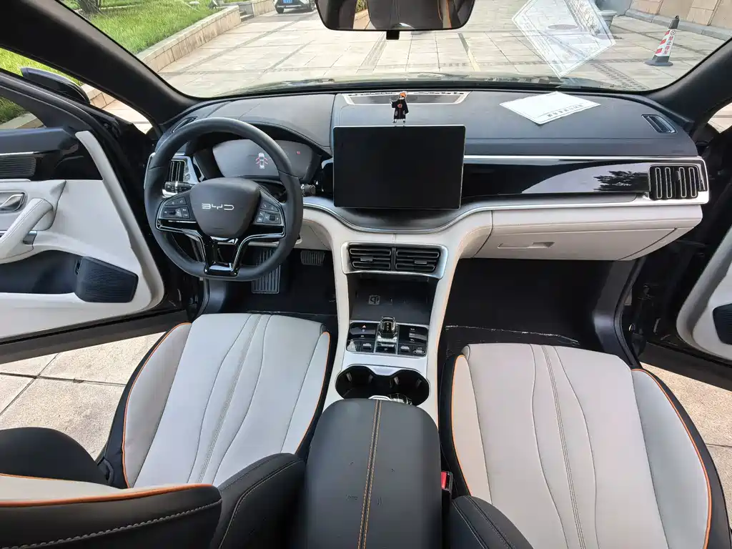 BYD PLUS New Energy — фото 11