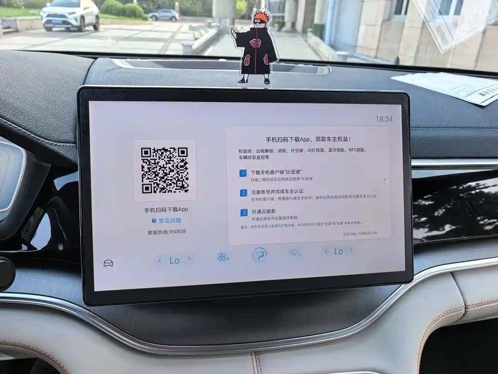 BYD PLUS New Energy — фото 14