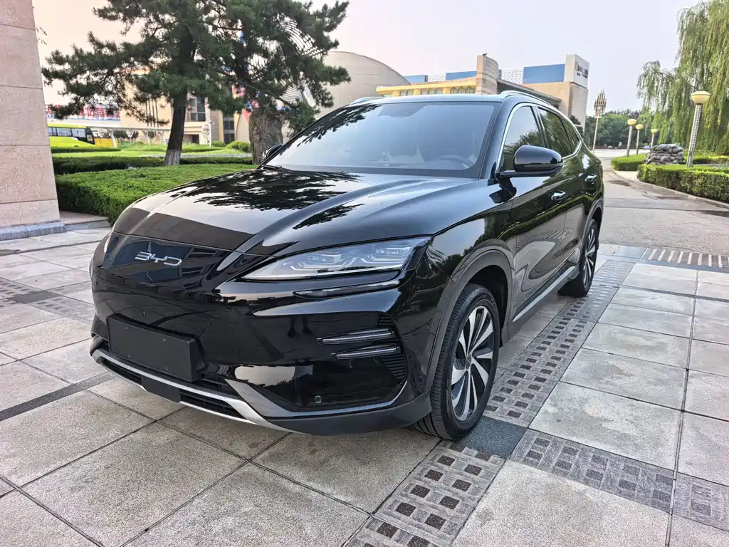 BYD PLUS New Energy — фото 3