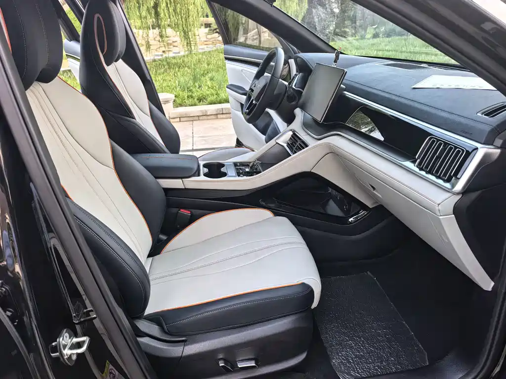 BYD PLUS New Energy — фото 10
