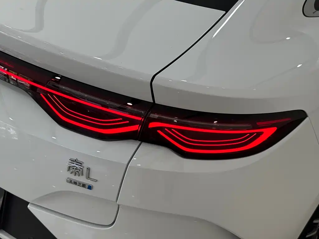 BYD Qin L — фото 6