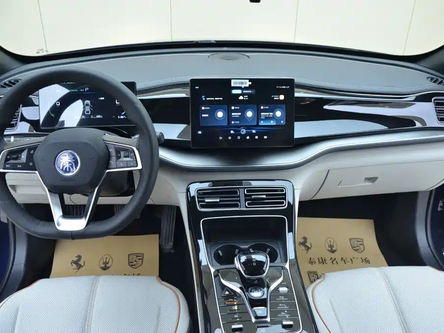 BYD Qin PLUS — фото 6