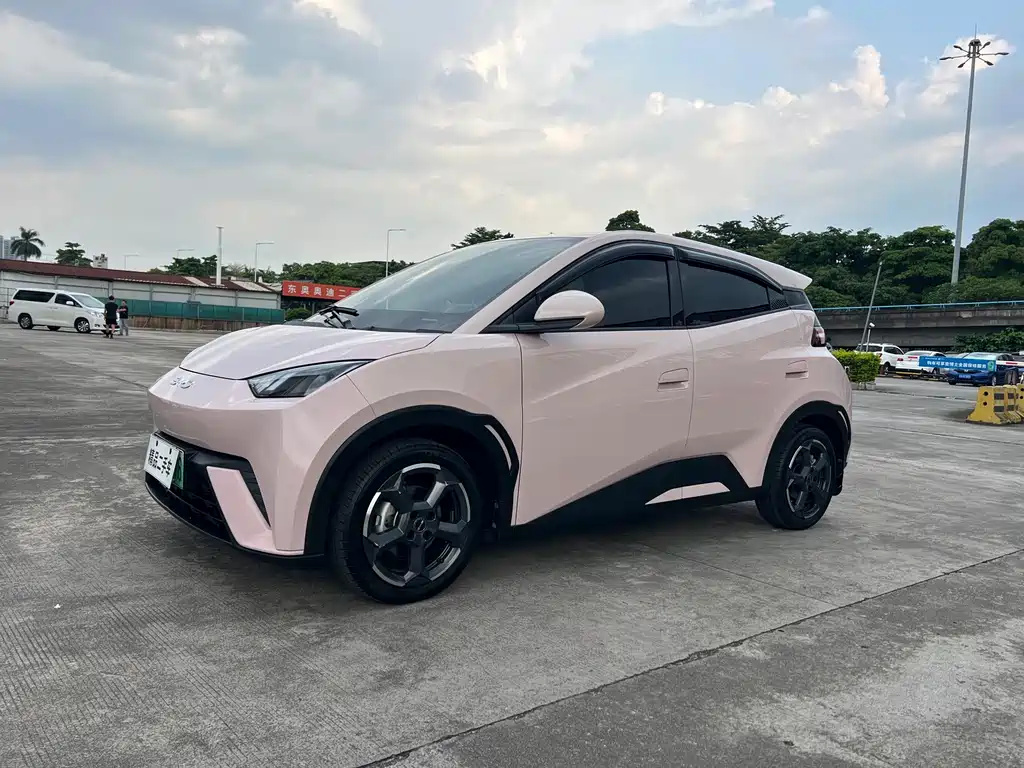 BYD Seagull