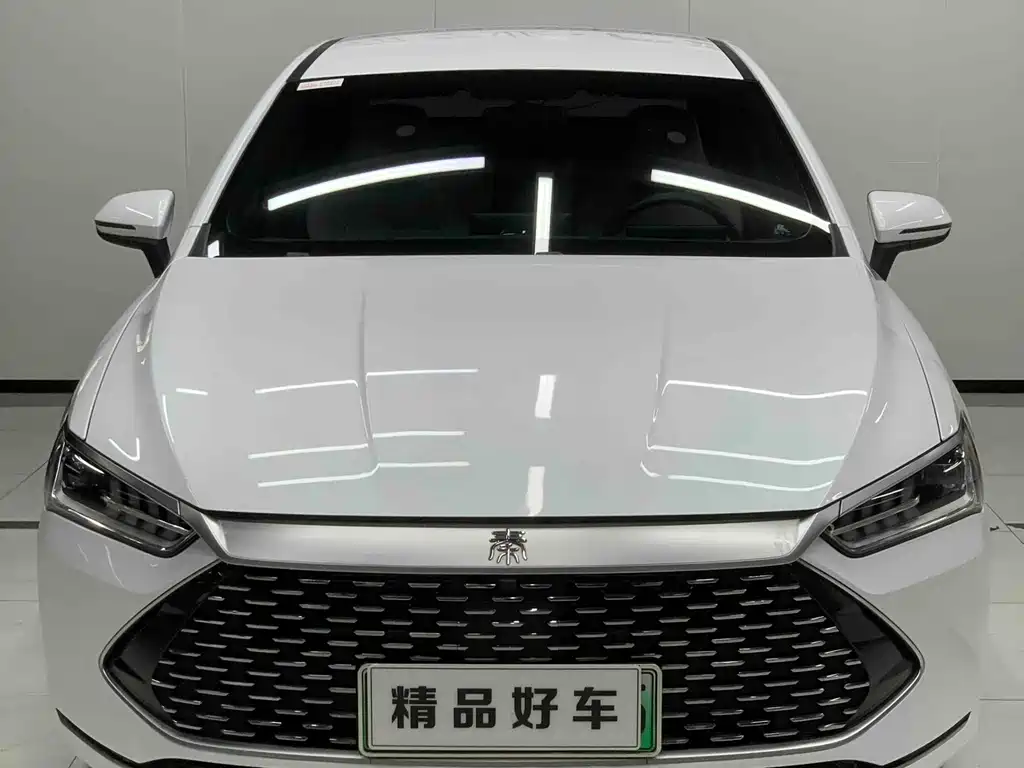 BYD Qin PLUS — фото 2
