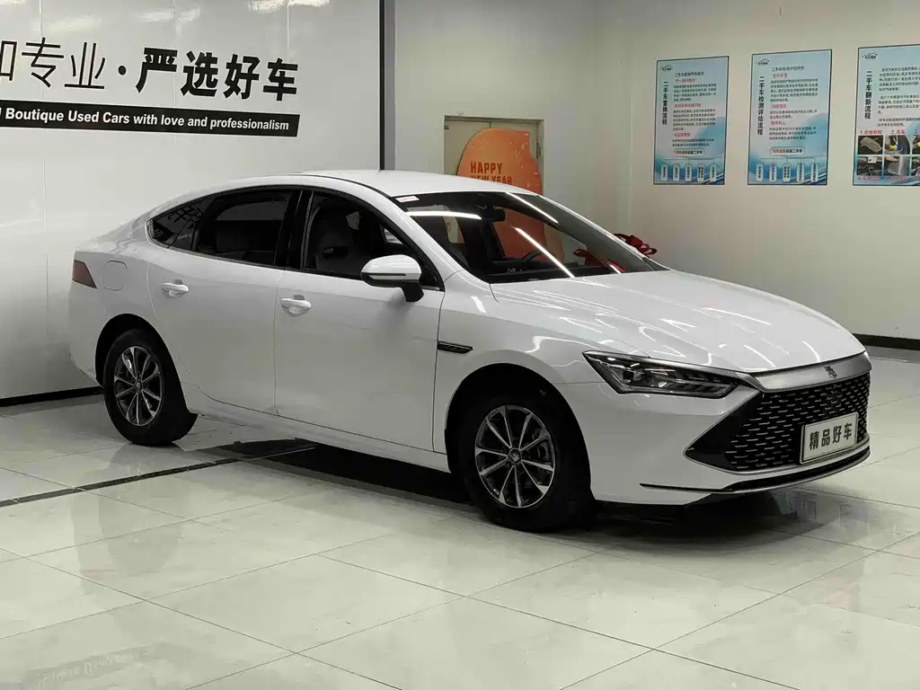 BYD Qin PLUS — фото 3