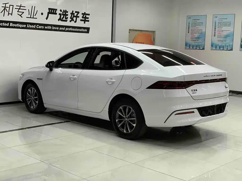 BYD Qin PLUS — фото 6