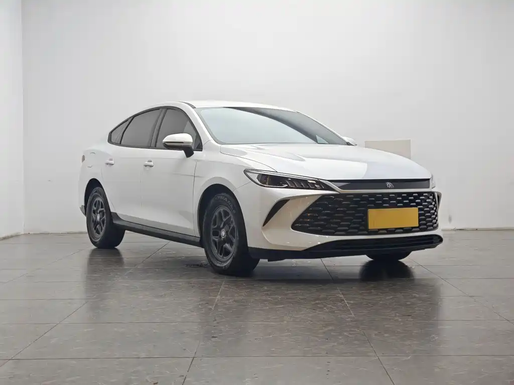 BYD Qin PLUS — фото 2