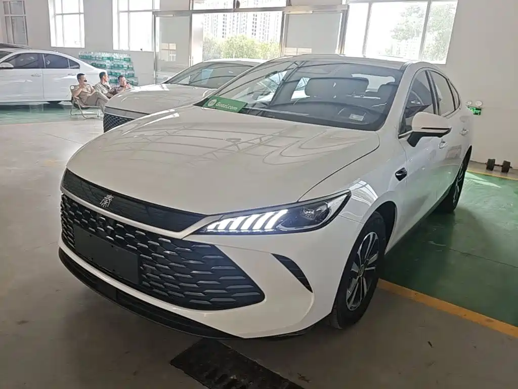 BYD Qin PLUS — фото 2