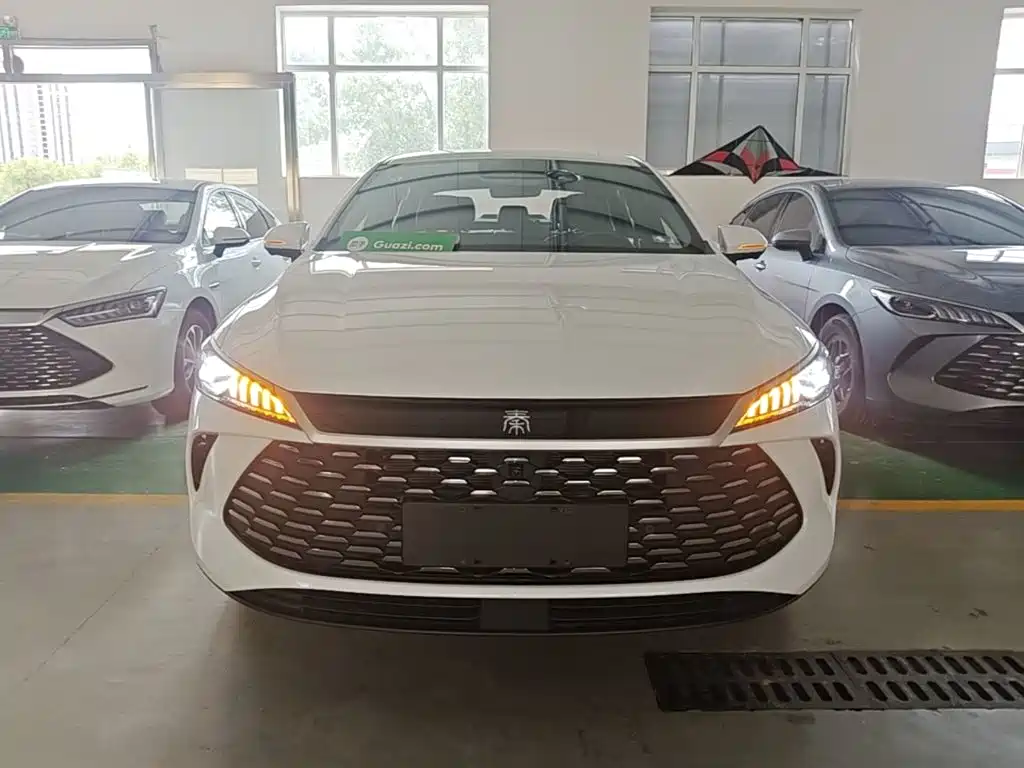 BYD Qin PLUS — фото 3