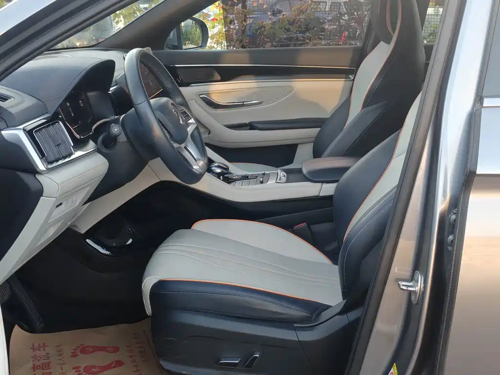BYD PLUS New Energy — фото 11