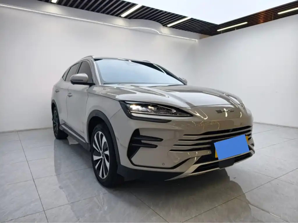 BYD PLUS New Energy — фото 3
