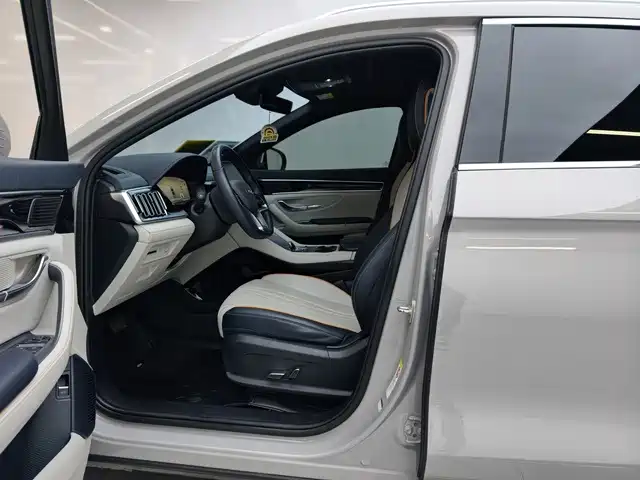 BYD PLUS New Energy — фото 4